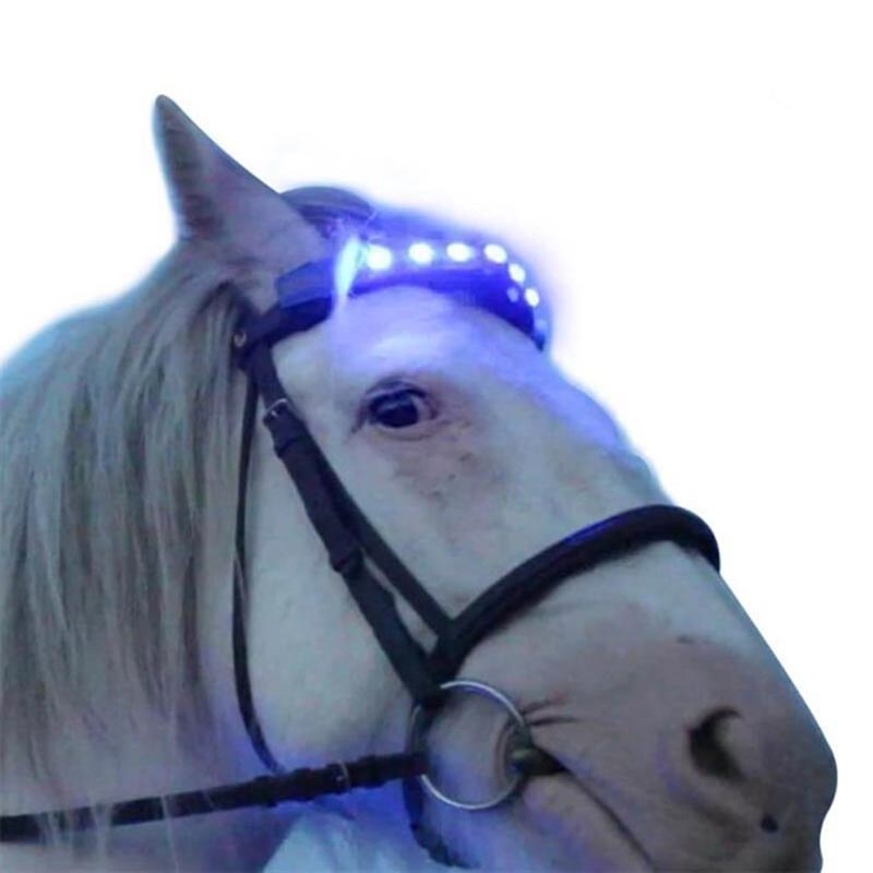LED pandebånd til din heste - Hesteudstyr og tilbehør